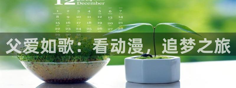 78动漫软件