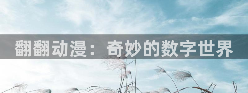 78动漫周边