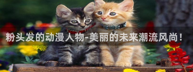 78动漫正版官网入口网页版